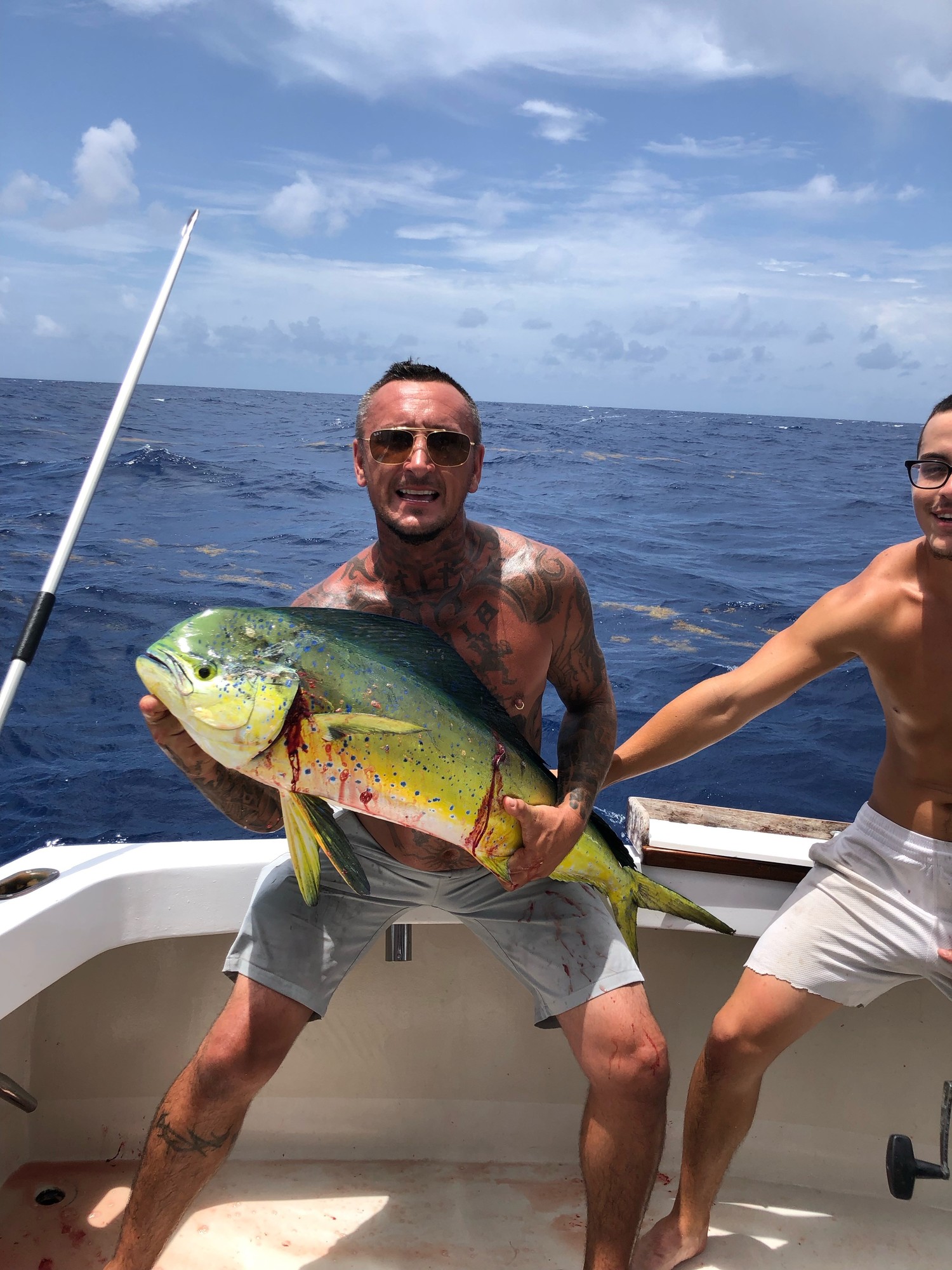 Dolphin Fish Mounts & Replicas by CoasttoCoast Fish Mounts